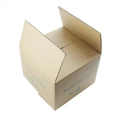 Cartons Brown Master Box hpe htaw sa ai